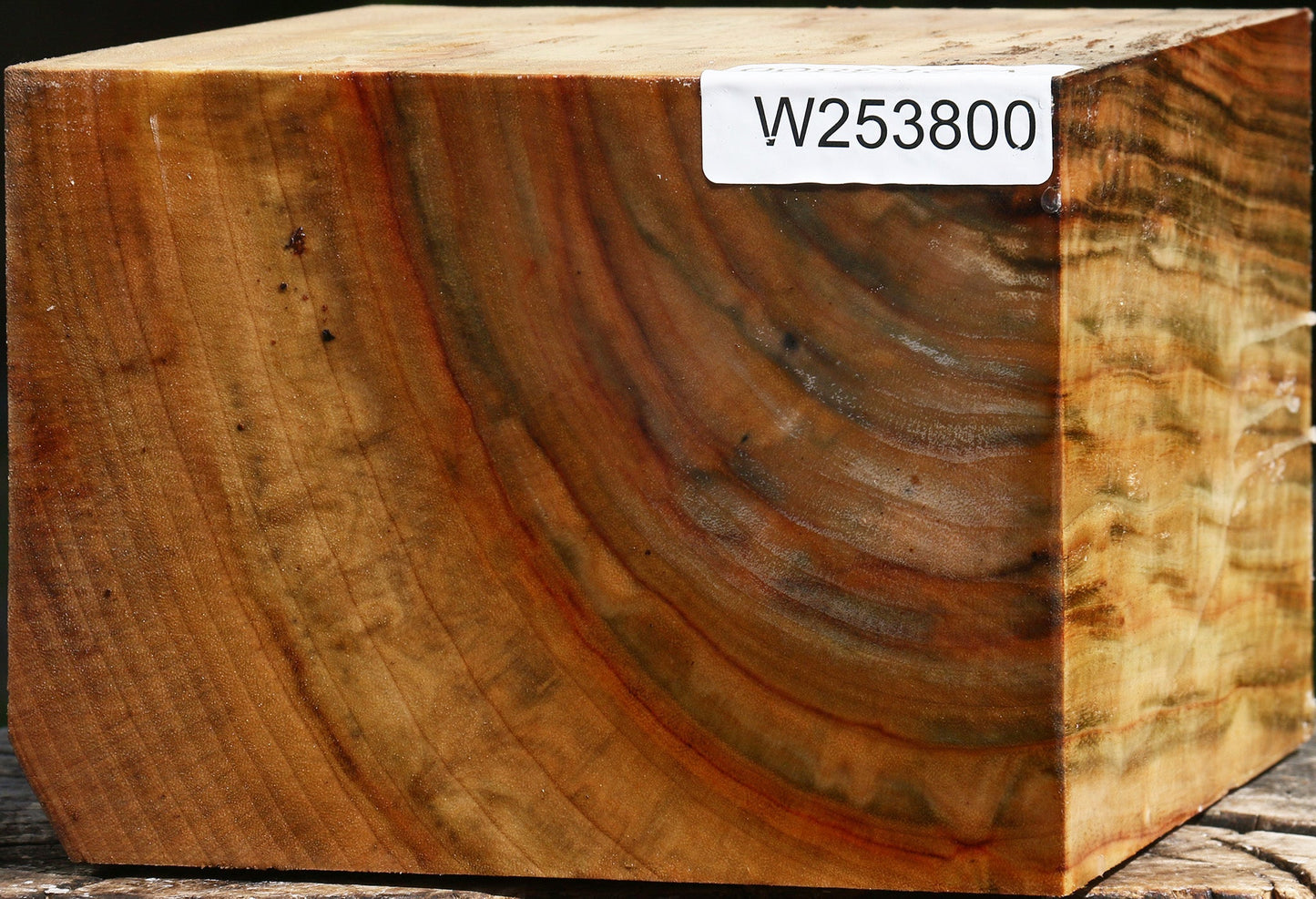 Extra Fancy Camphor Bowl Blank