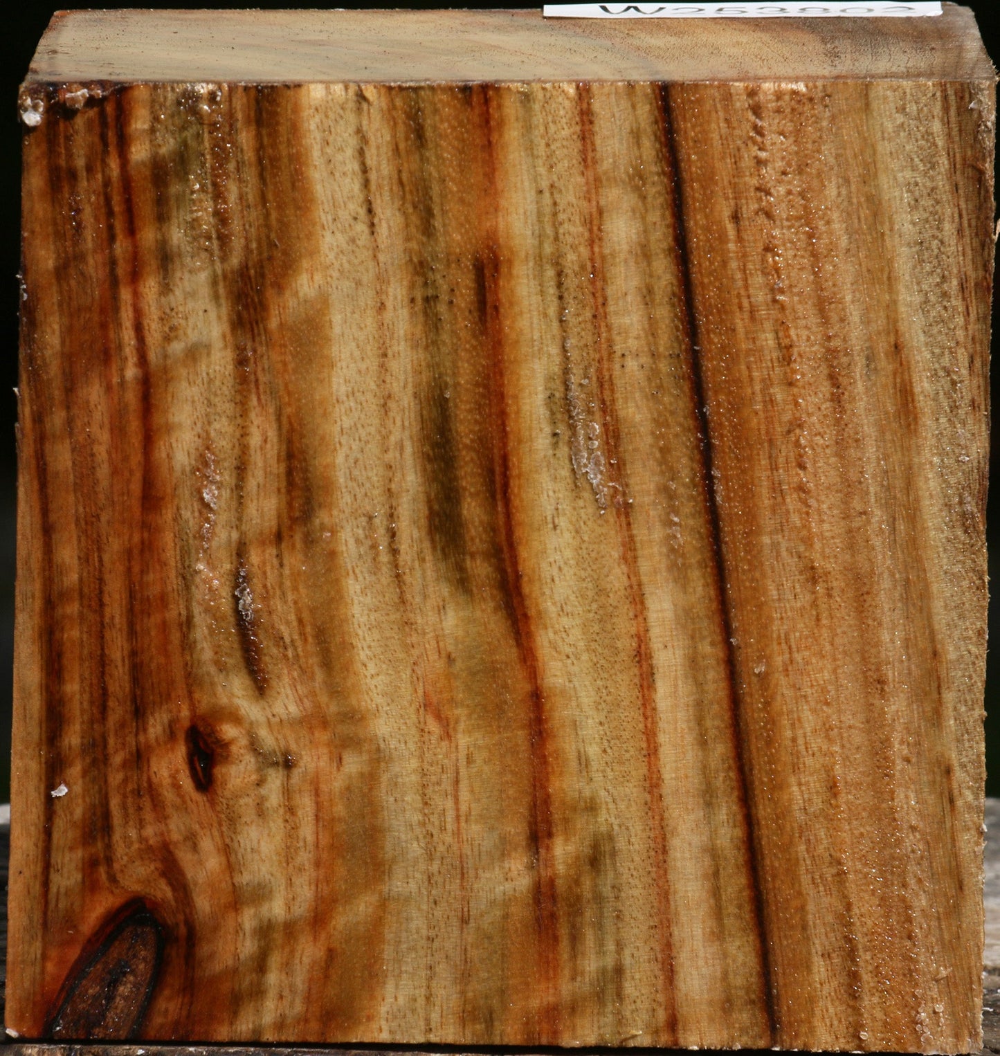 Figured Camphor Bowl Blank