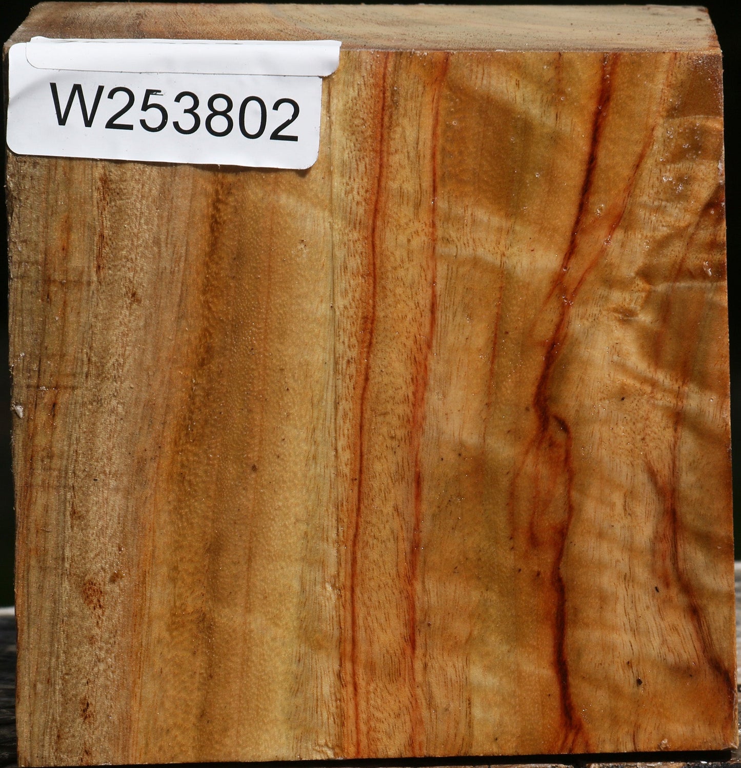 Figured Camphor Bowl Blank