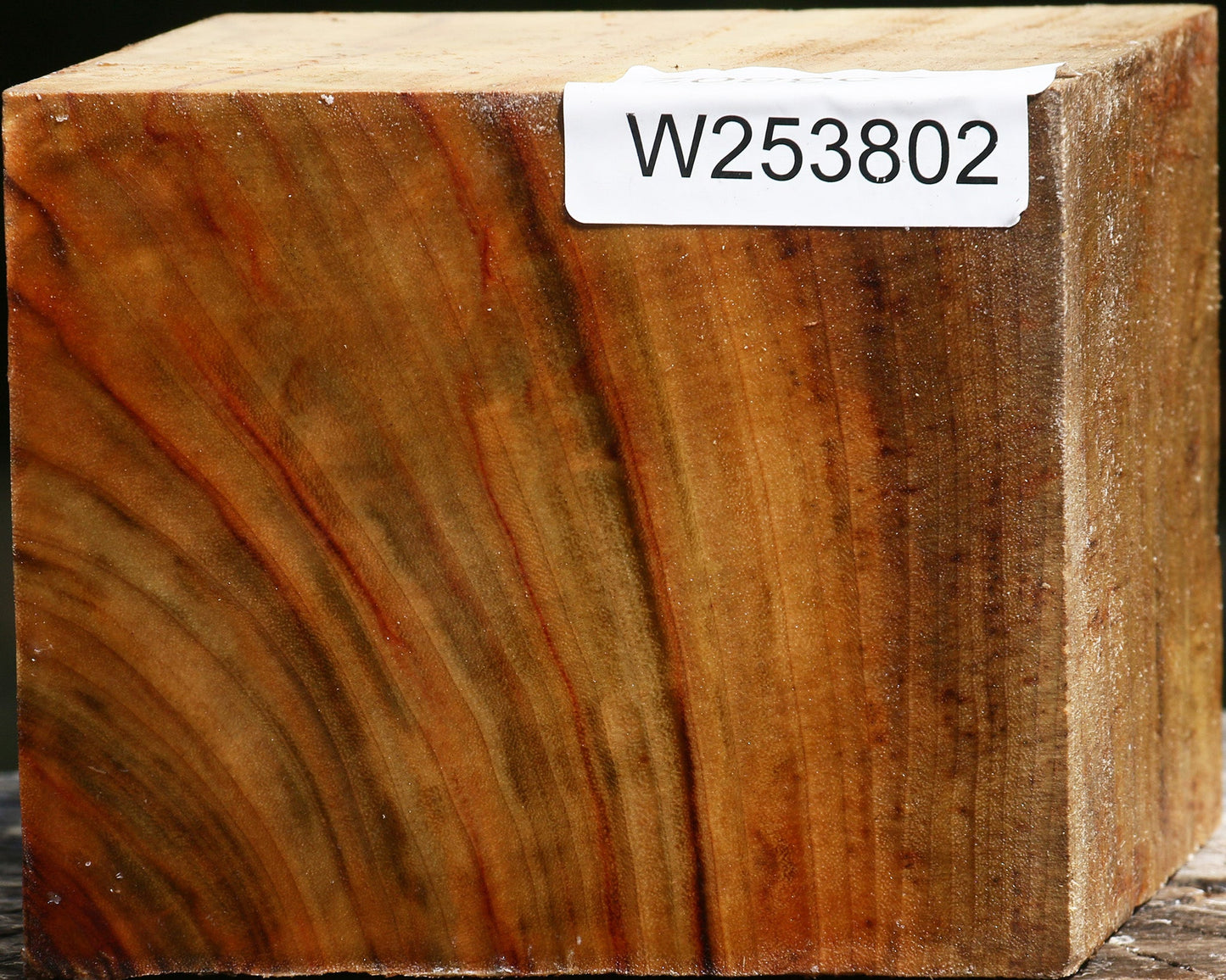 Figured Camphor Bowl Blank