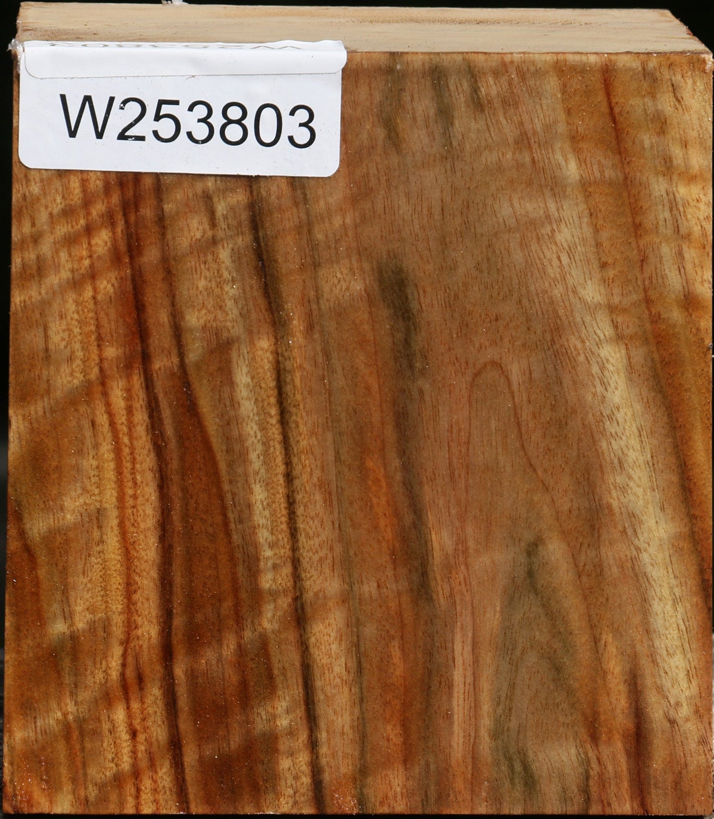 Figured Camphor Bowl Blank