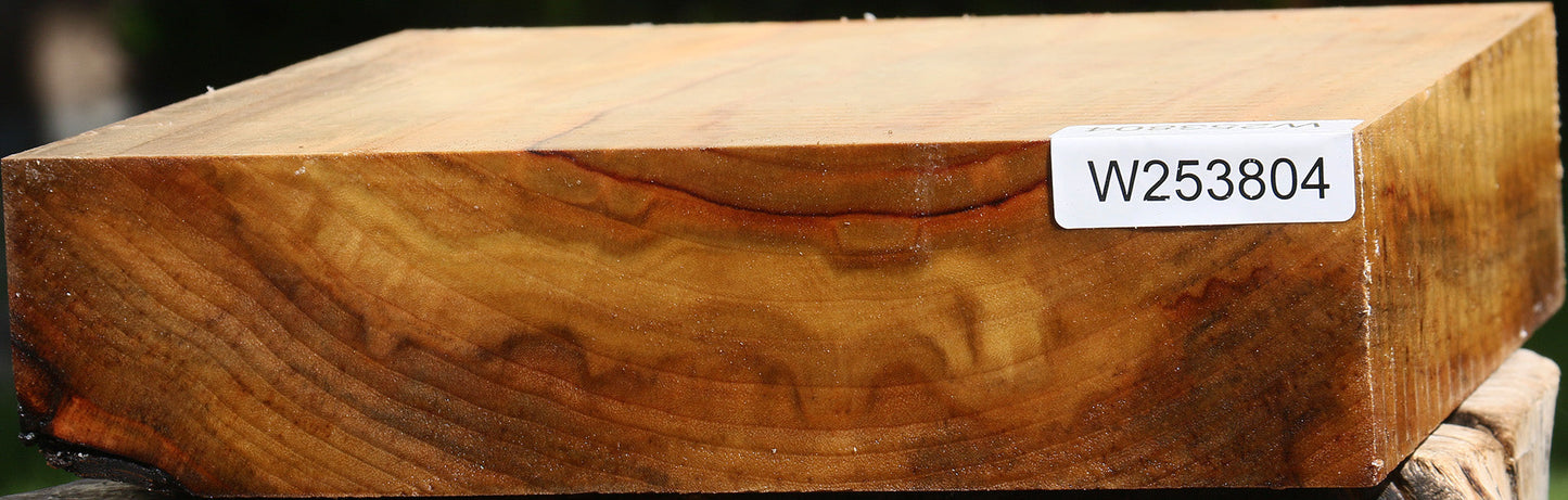 Camphor Bowl Blank