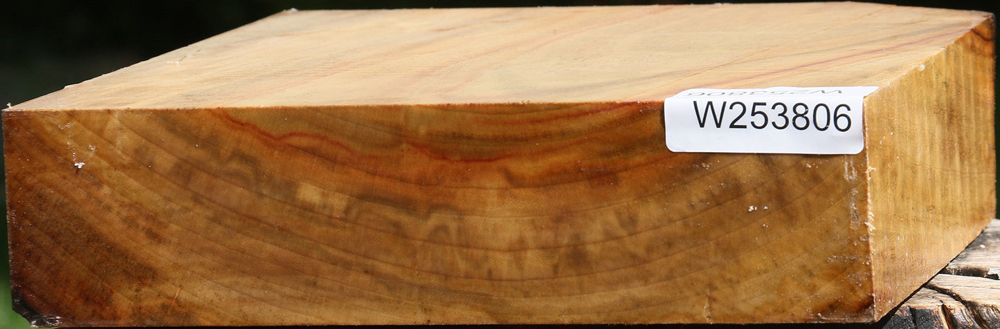 Camphor Platter Blank
