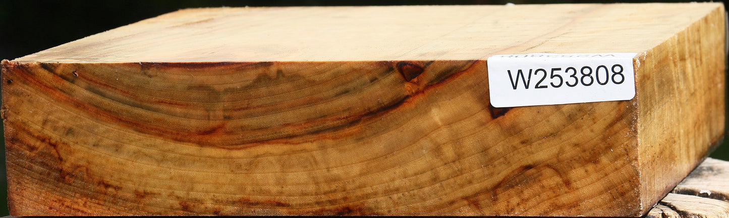 Figured Camphor Platter Blank
