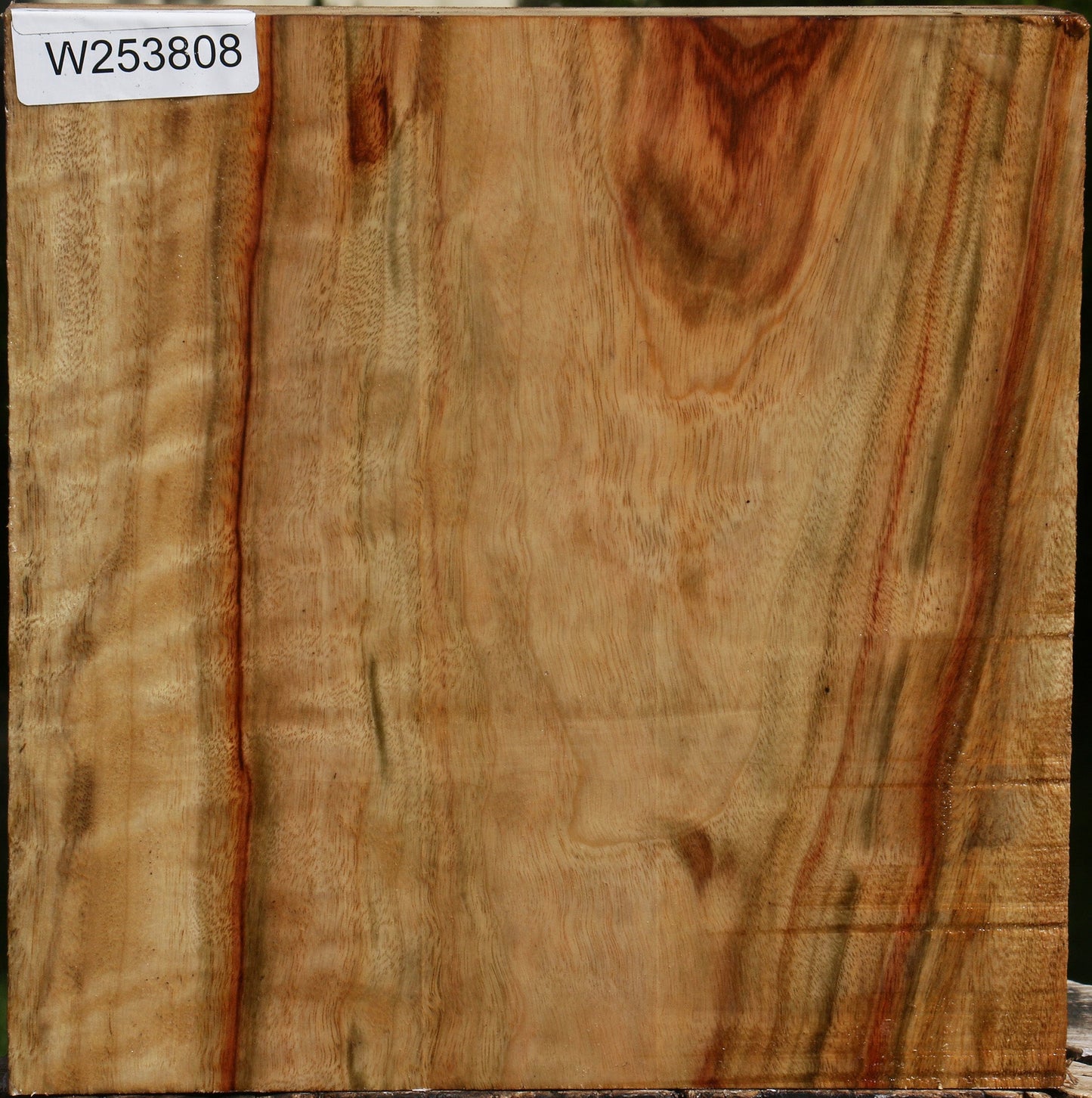 Figured Camphor Platter Blank