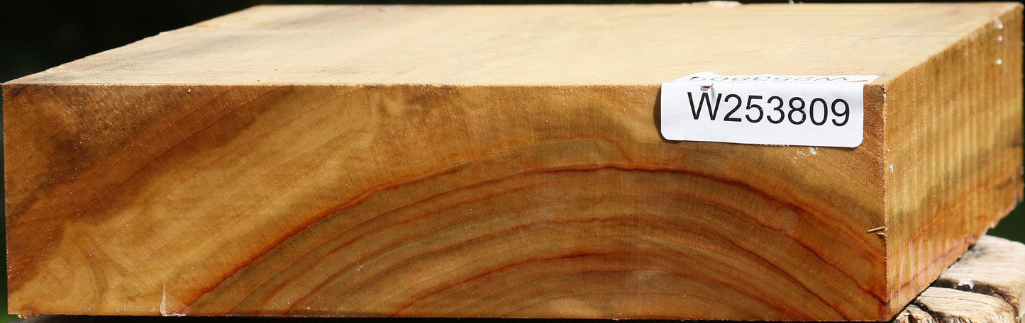 Camphor Bowl Blank