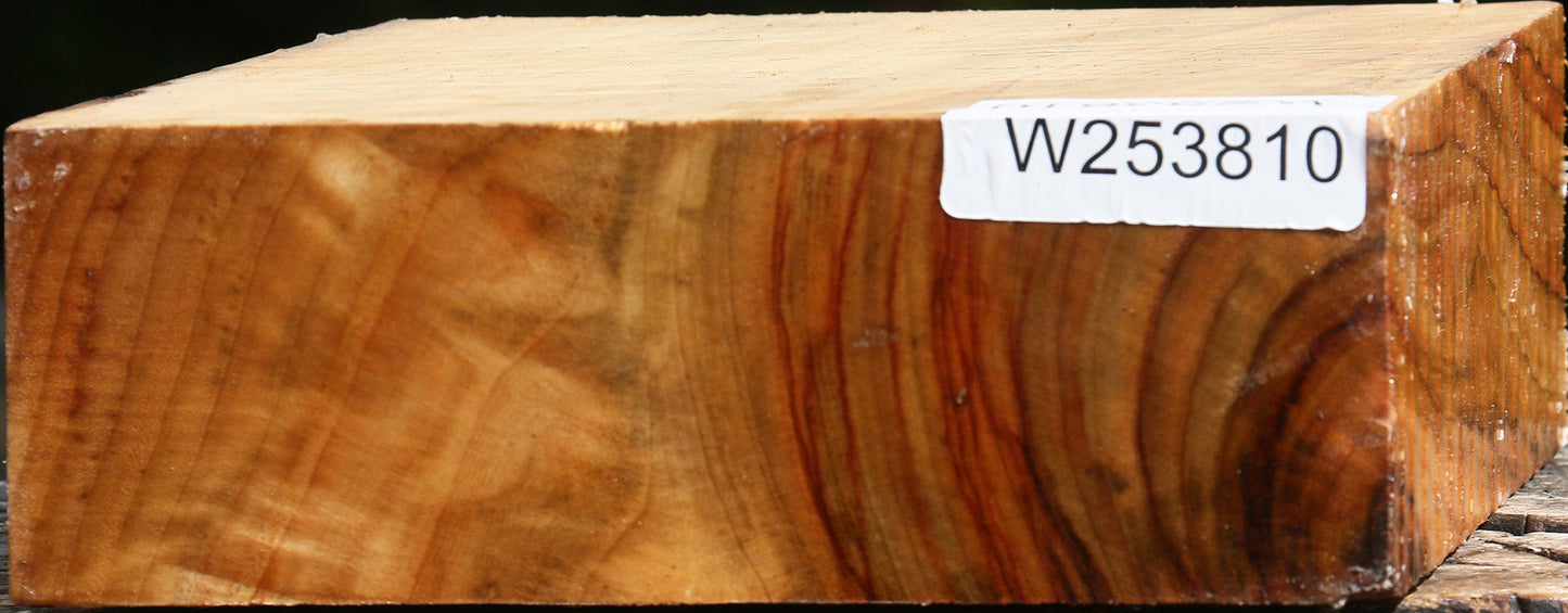 Extra Fancy Camphor Bowl Blank