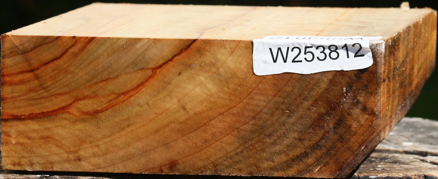 Extra Fancy Camphor Bowl Blank