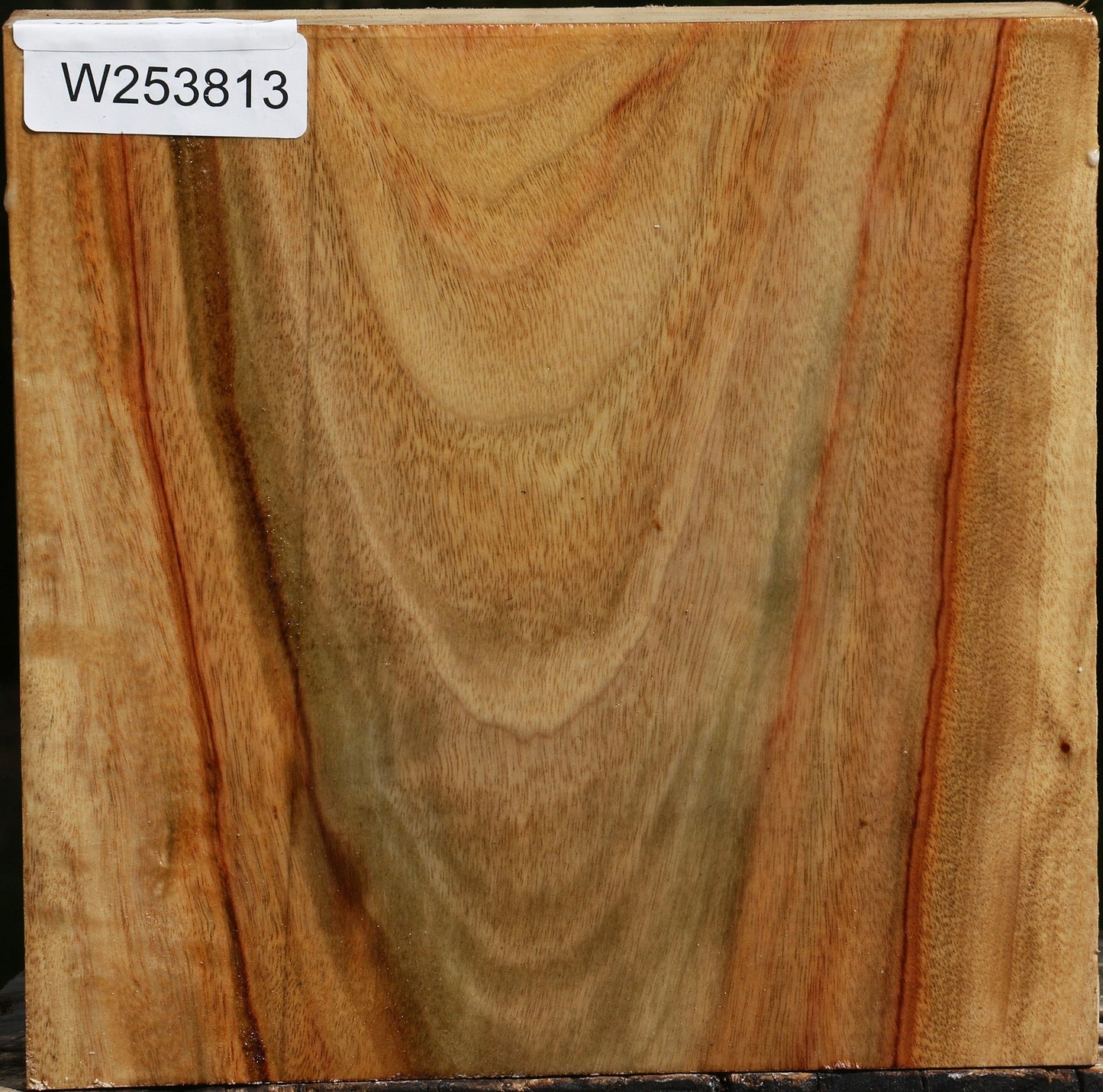 Camphor Bowl Blank