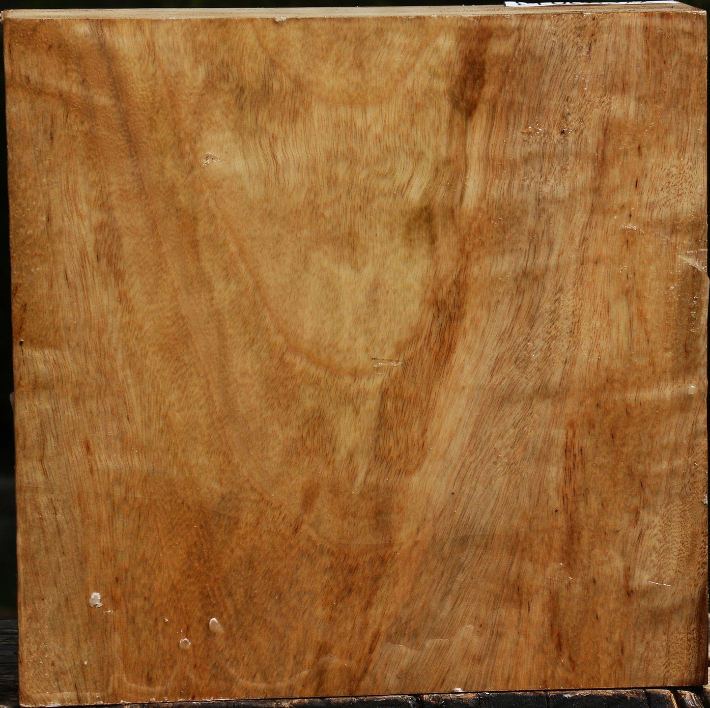 Camphor Bowl Blank