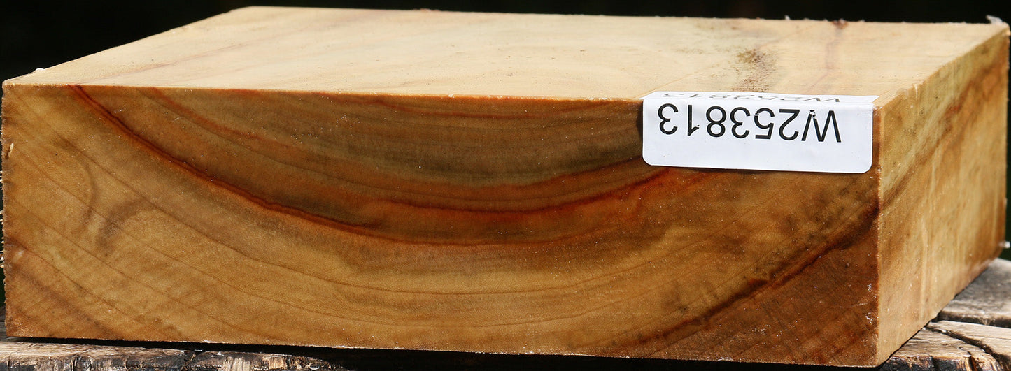 Camphor Bowl Blank