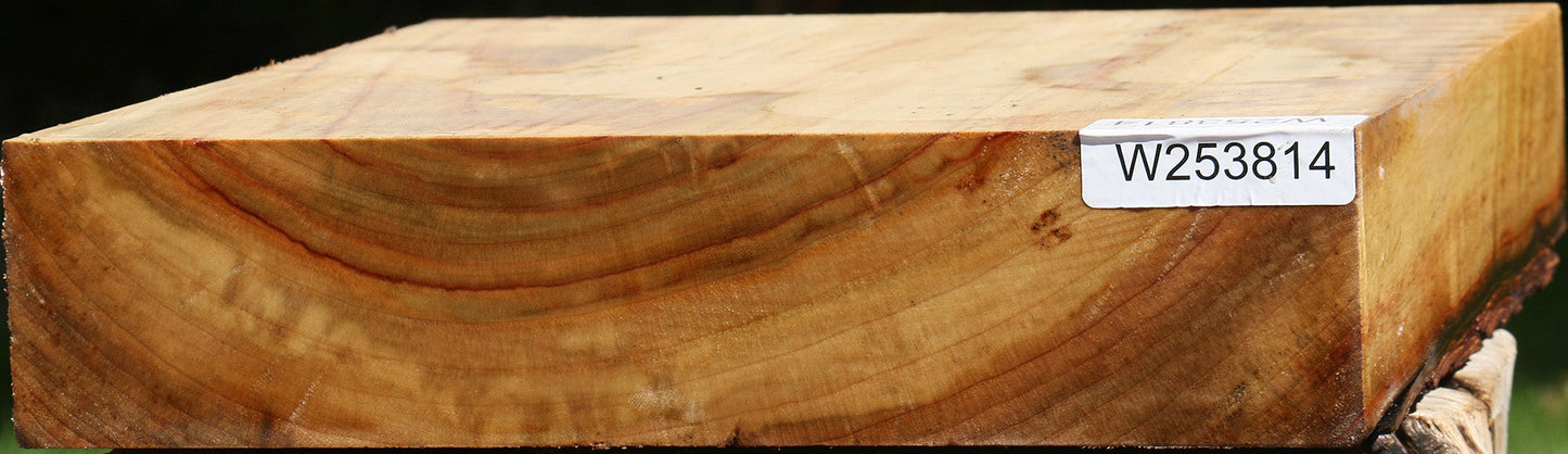 Camphor Bowl Blank