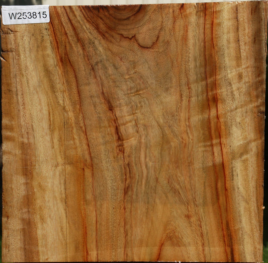 Figured Camphor Platter Blank