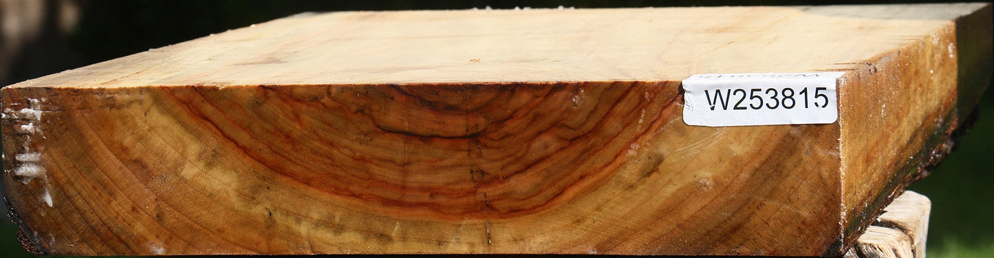Figured Camphor Platter Blank