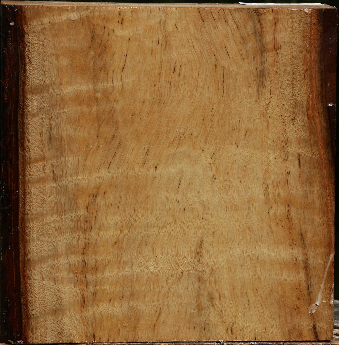 Figured Camphor Bowl Blank