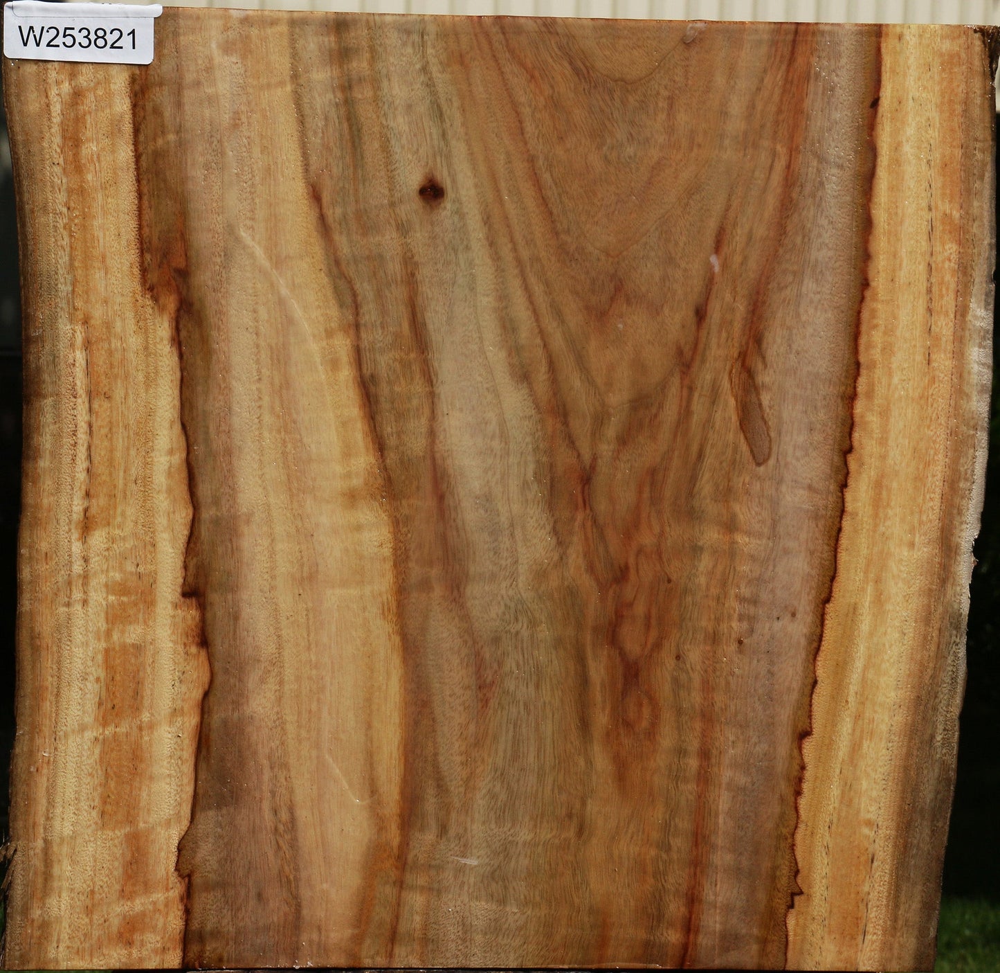 Figured Camphor Live Edge Bowl Blank