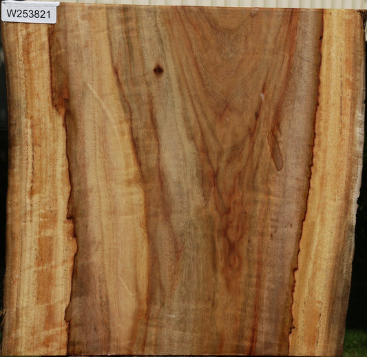 Figured Camphor Live Edge Bowl Blank