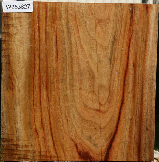 Camphor Bowl Blank