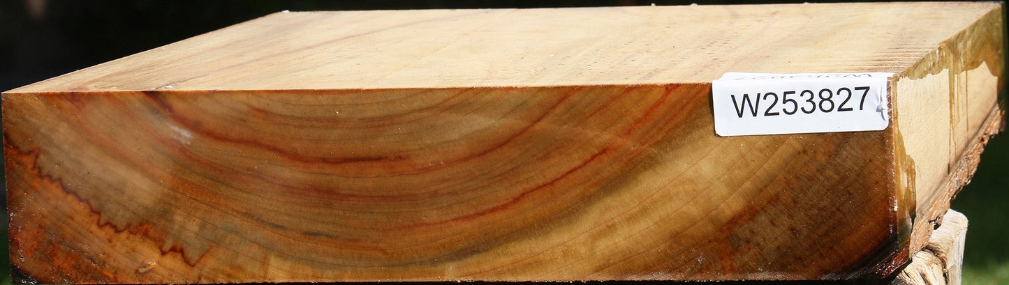 Camphor Bowl Blank