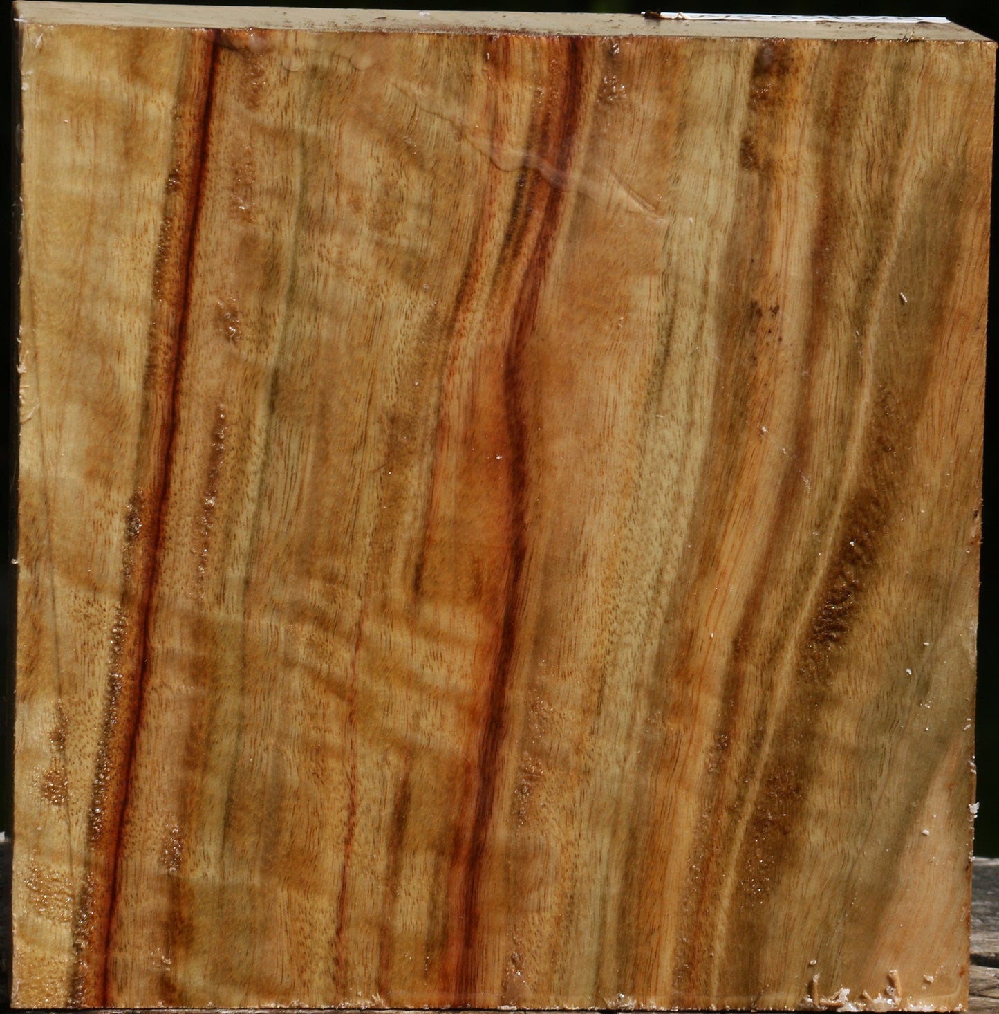 Figured Camphor Bowl Blank
