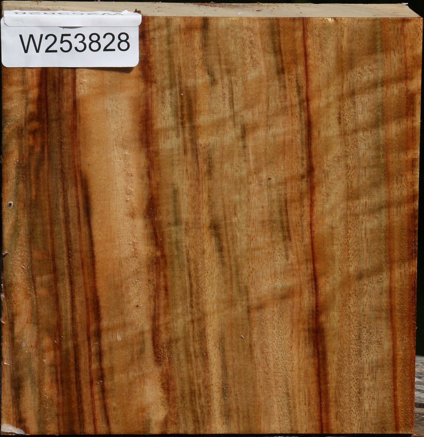 Figured Camphor Bowl Blank