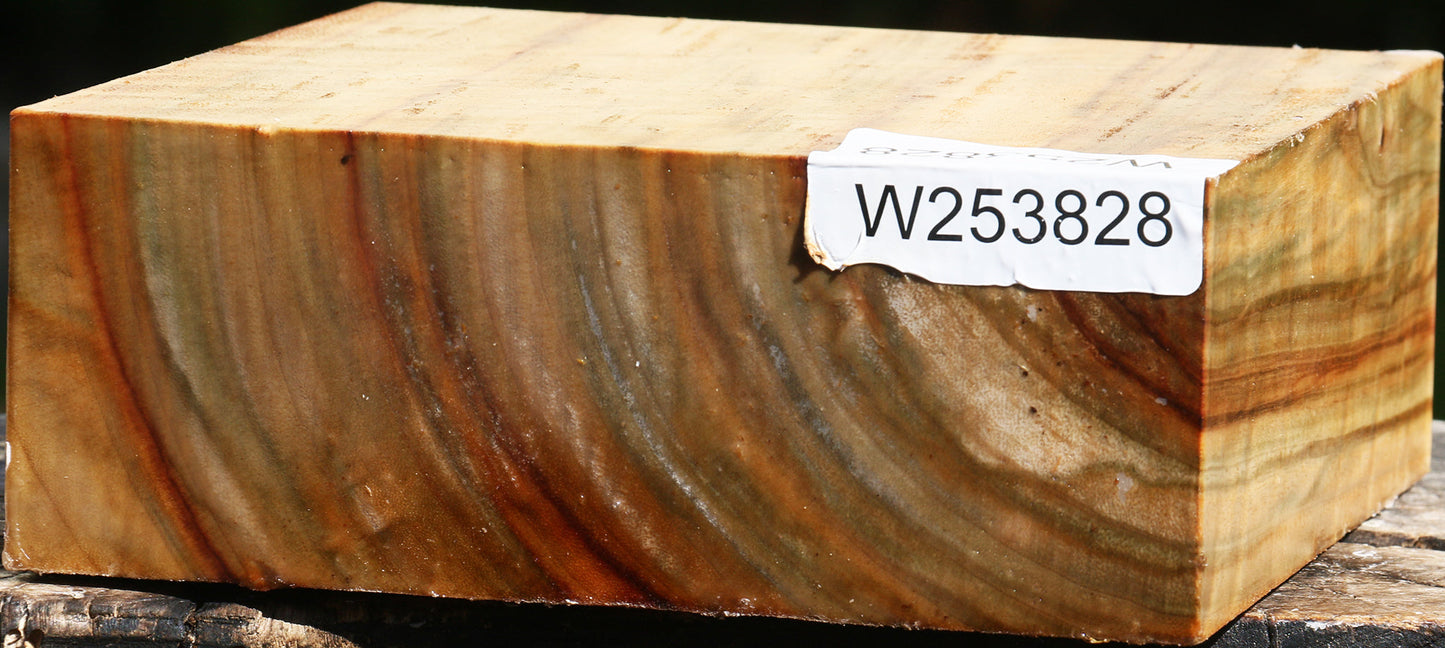 Figured Camphor Bowl Blank