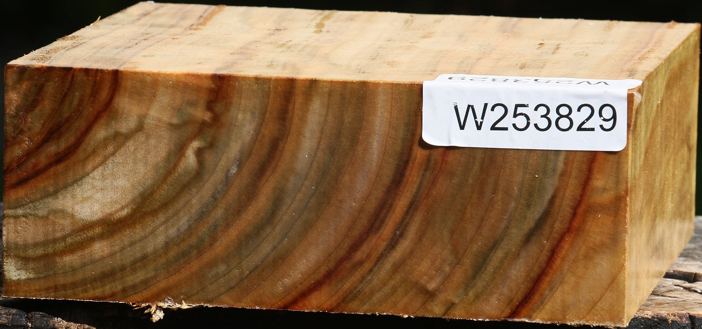 Figured Camphor Bowl Blank