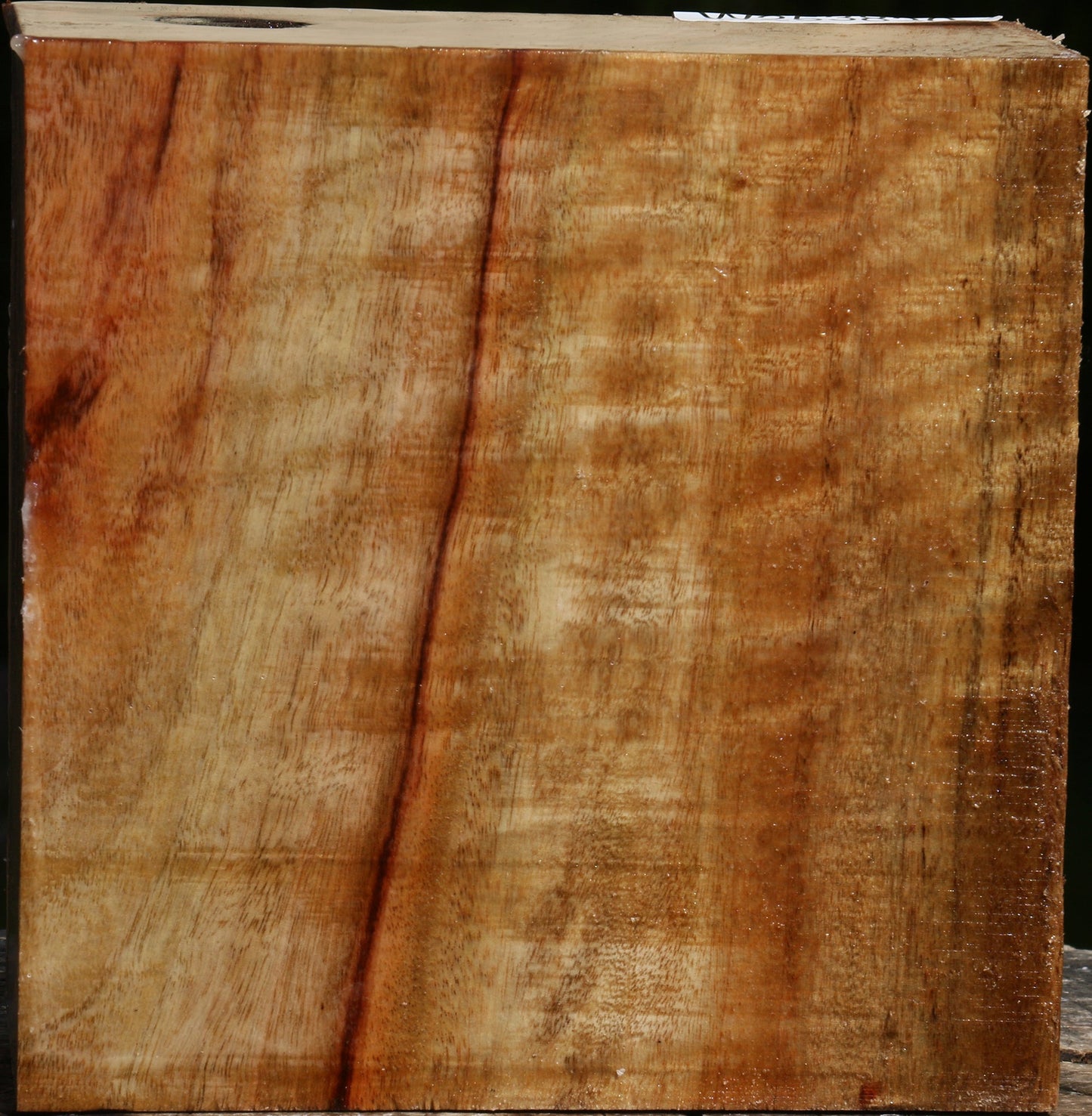 Figured Camphor Bowl Blank