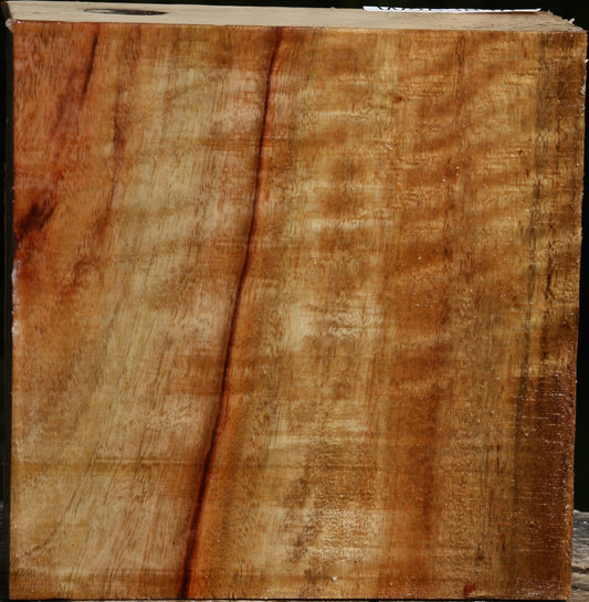 Figured Camphor Bowl Blank