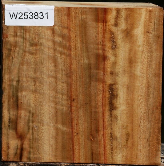 Figured Camphor Bowl Blank