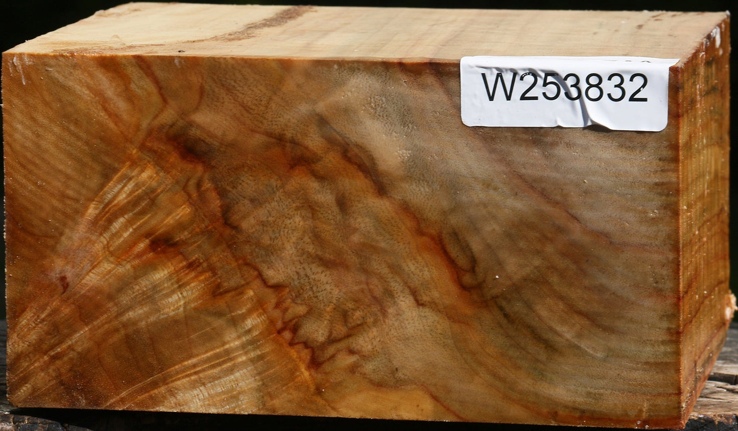Extra Fancy Camphor Bowl Blank