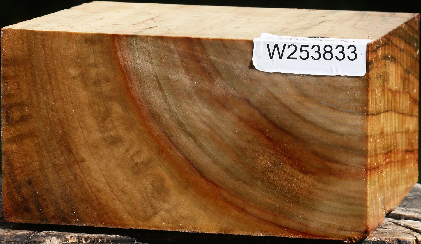 Extra Fancy Camphor Bowl Blank