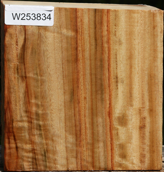 Figured Camphor Bowl Blank