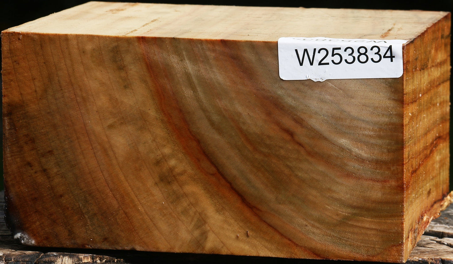 Figured Camphor Bowl Blank