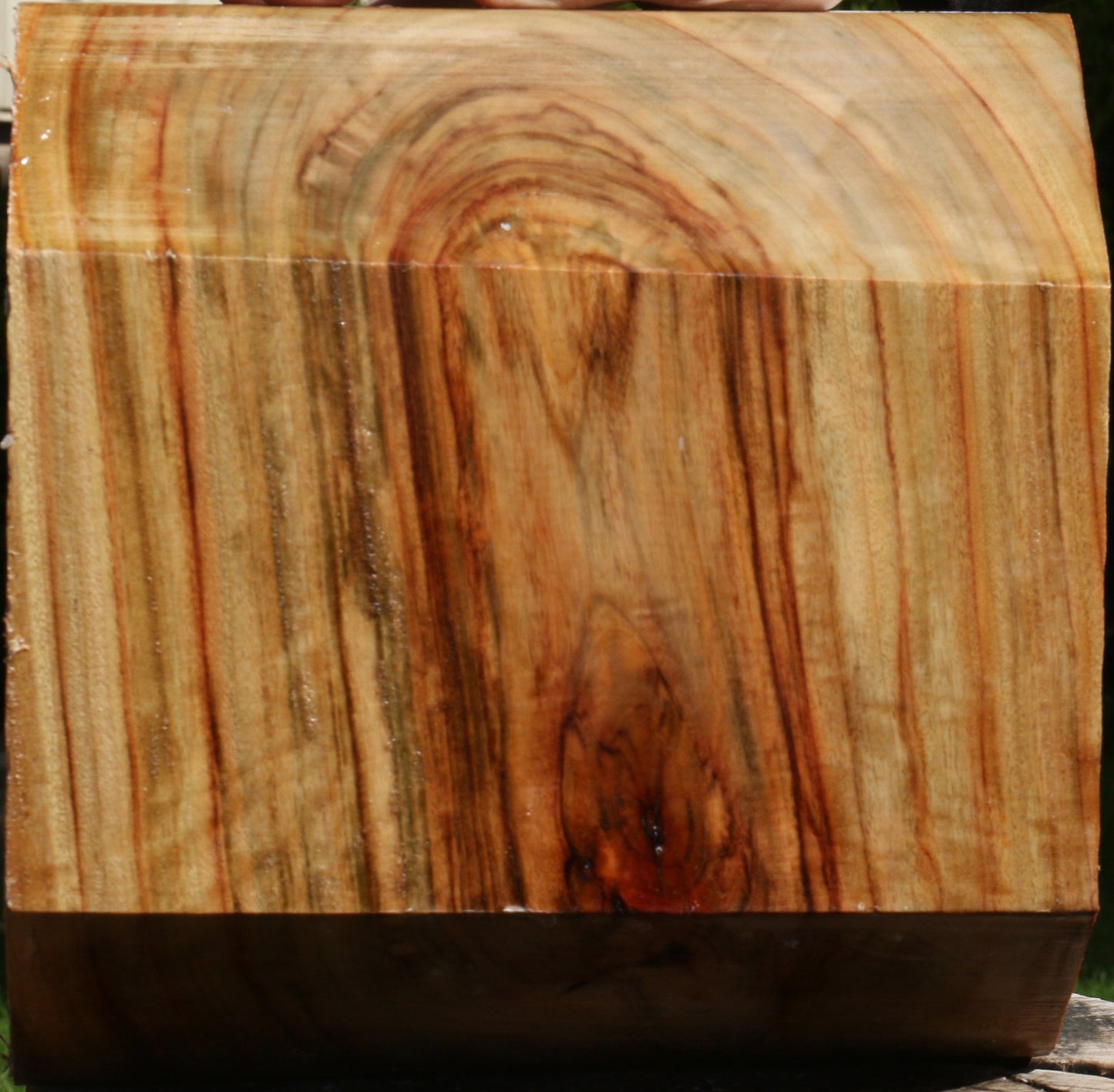 Figured Camphor Bowl Blank