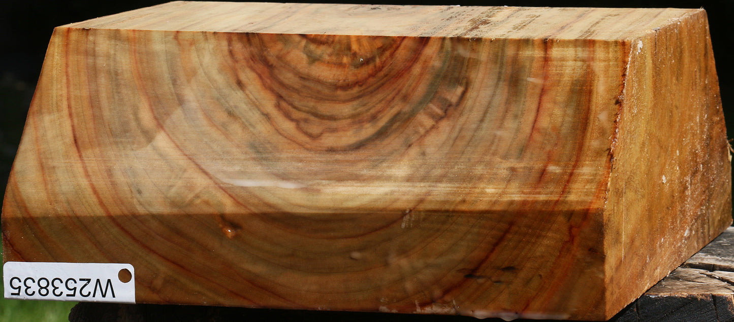 Figured Camphor Bowl Blank