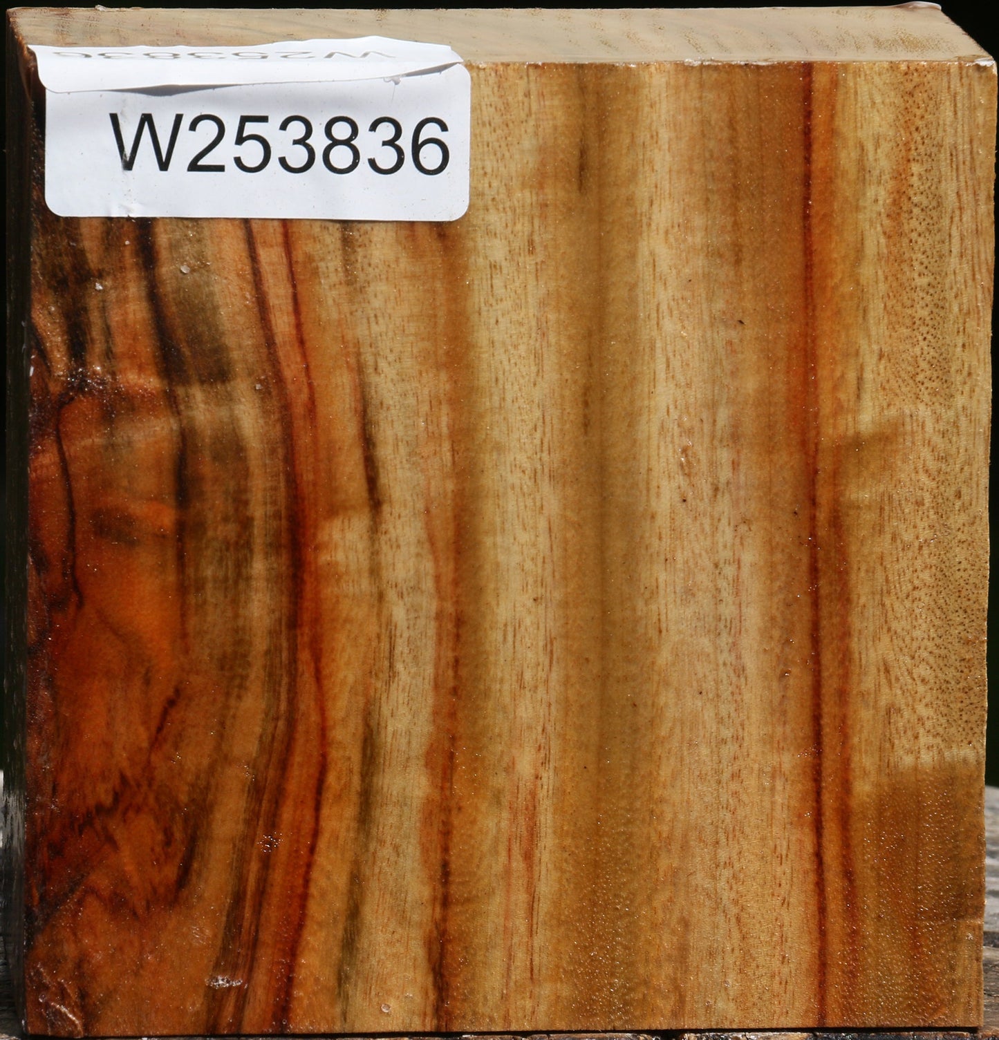 Figured Camphor Bowl Blank