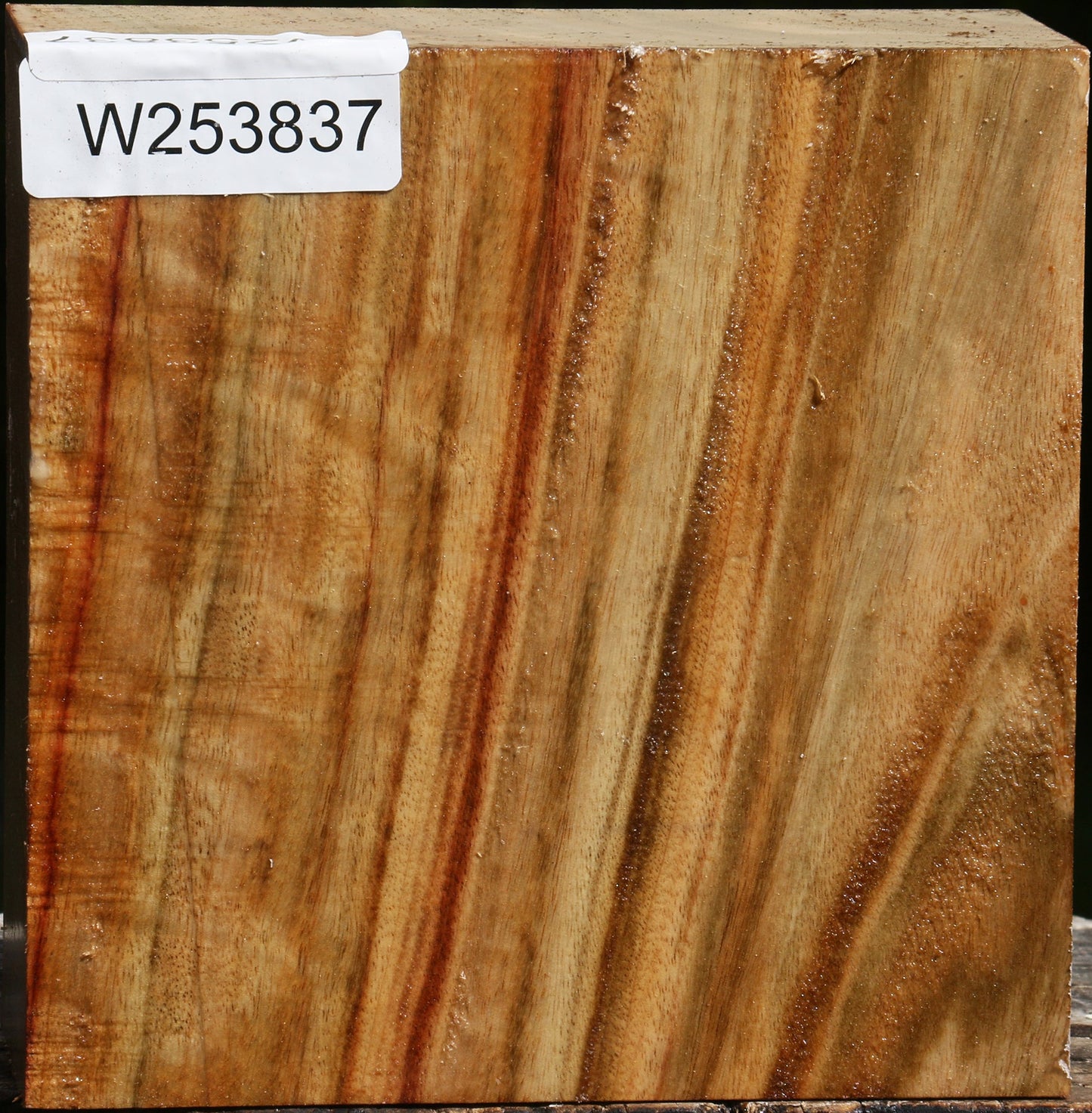 Figured Camphor Bowl Blank