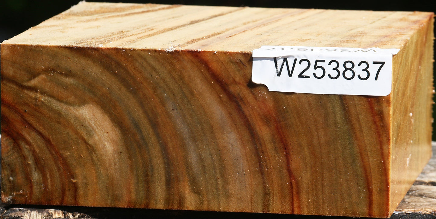 Figured Camphor Bowl Blank