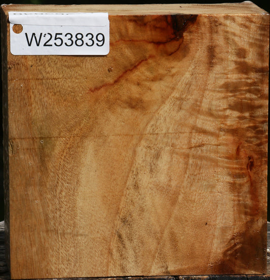 Figured Camphor Bowl Blank