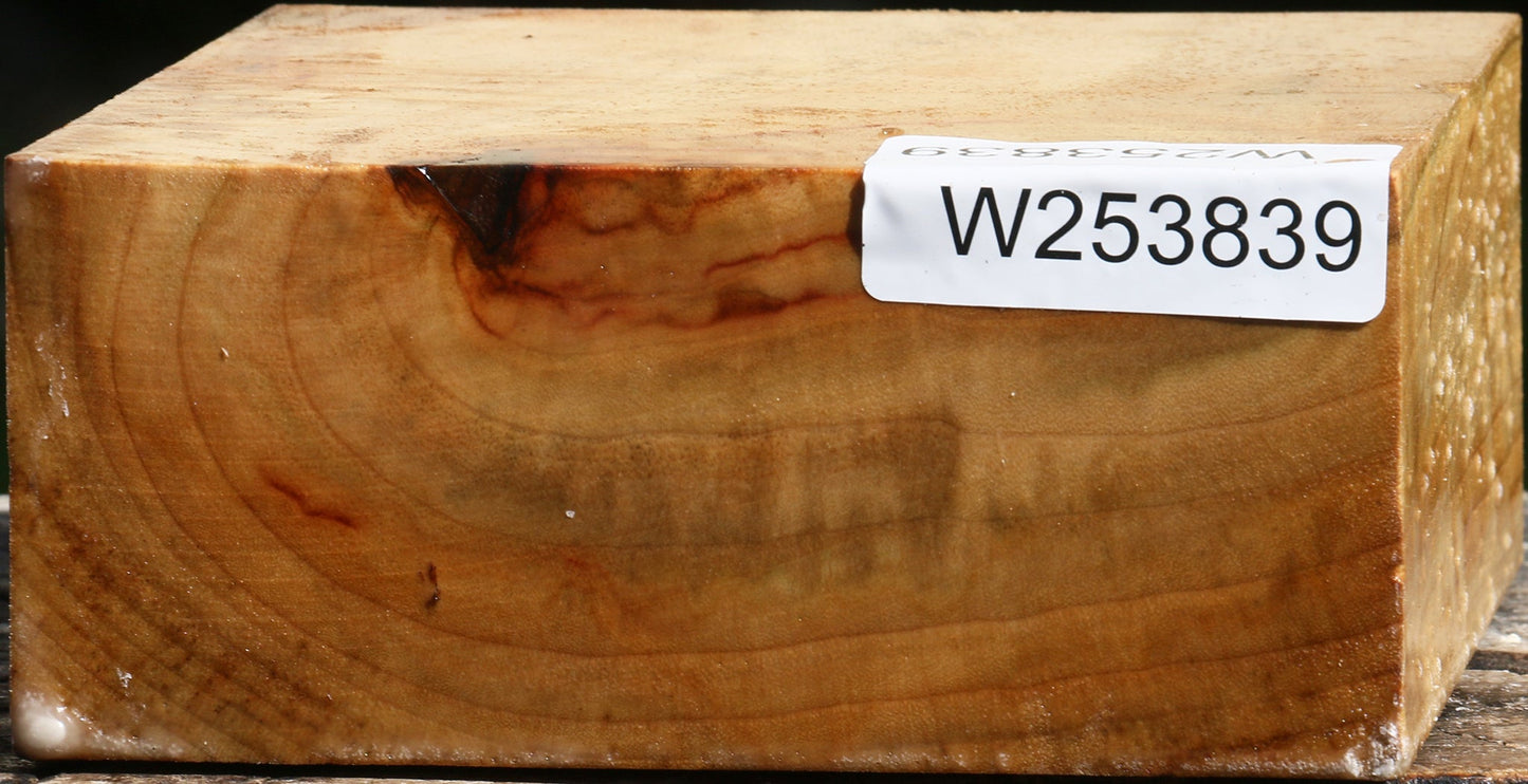 Figured Camphor Bowl Blank