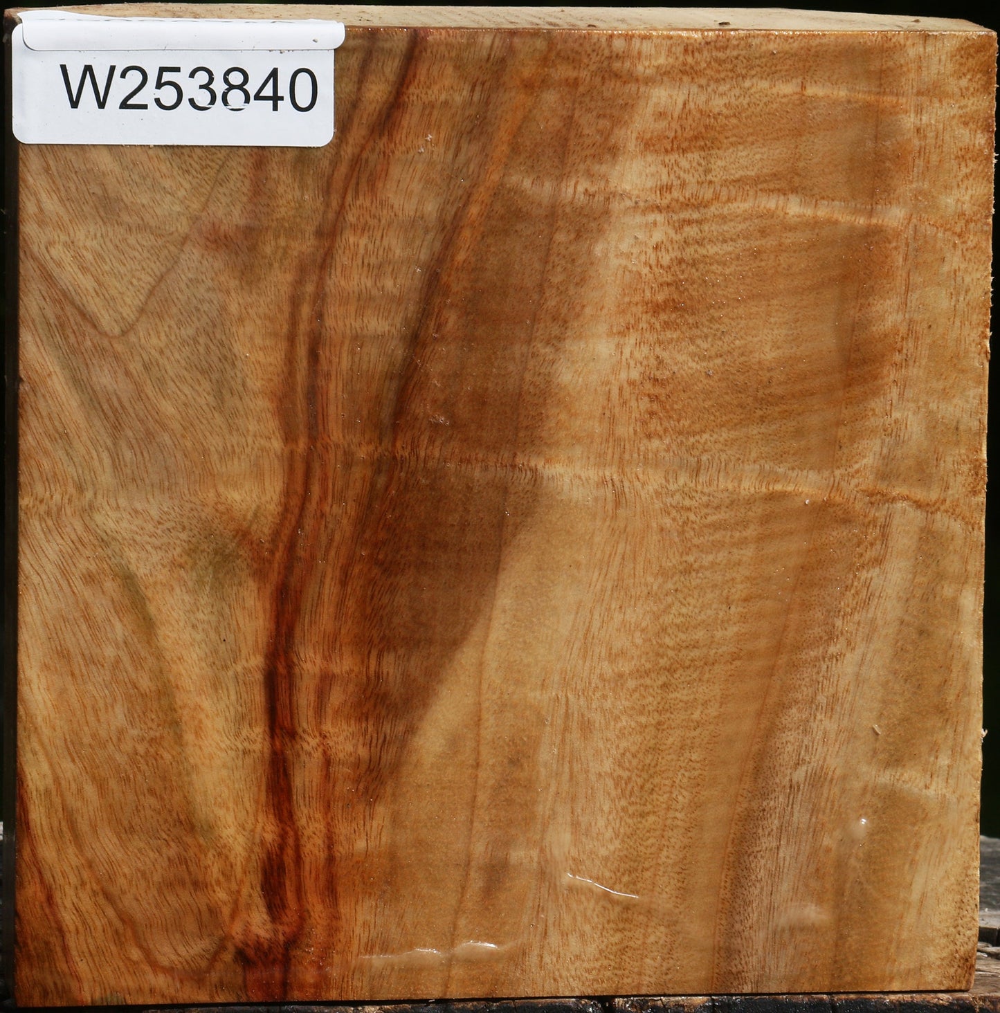 Figured Camphor Bowl Blank