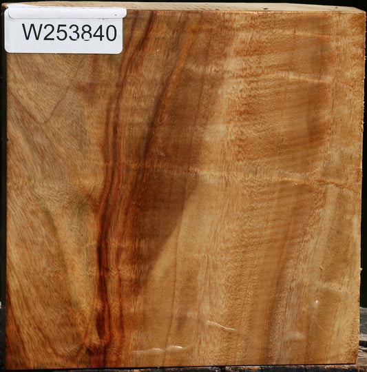 Figured Camphor Bowl Blank