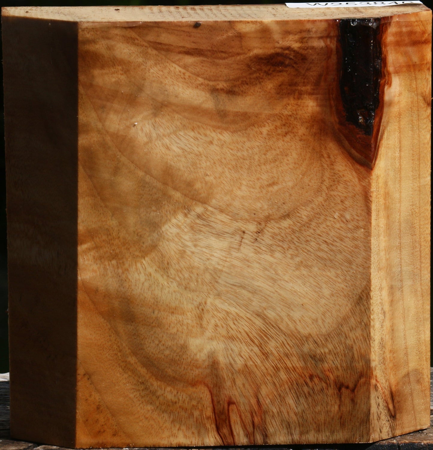 Figured Camphor Bowl Blank