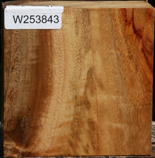 Camphor Bowl Blank