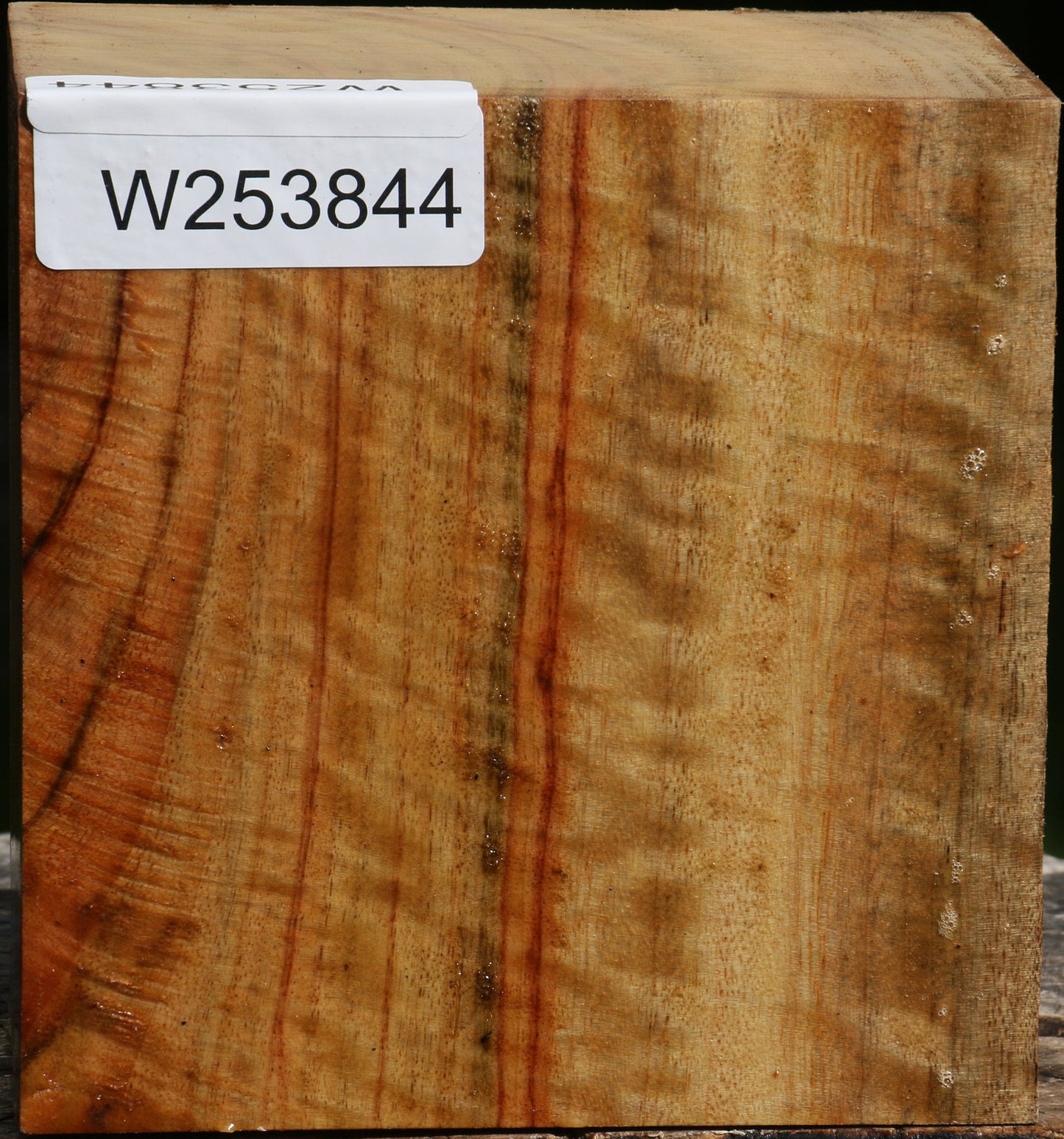 Extra Fancy Camphor Bowl Blank