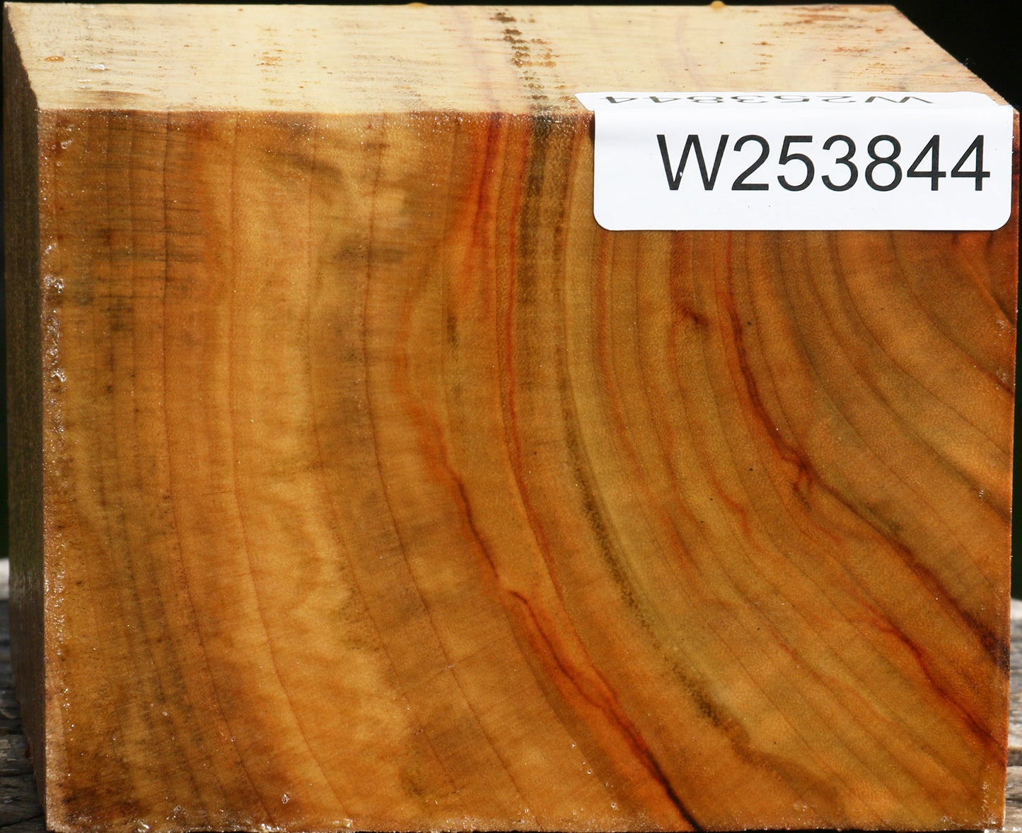 Extra Fancy Camphor Bowl Blank