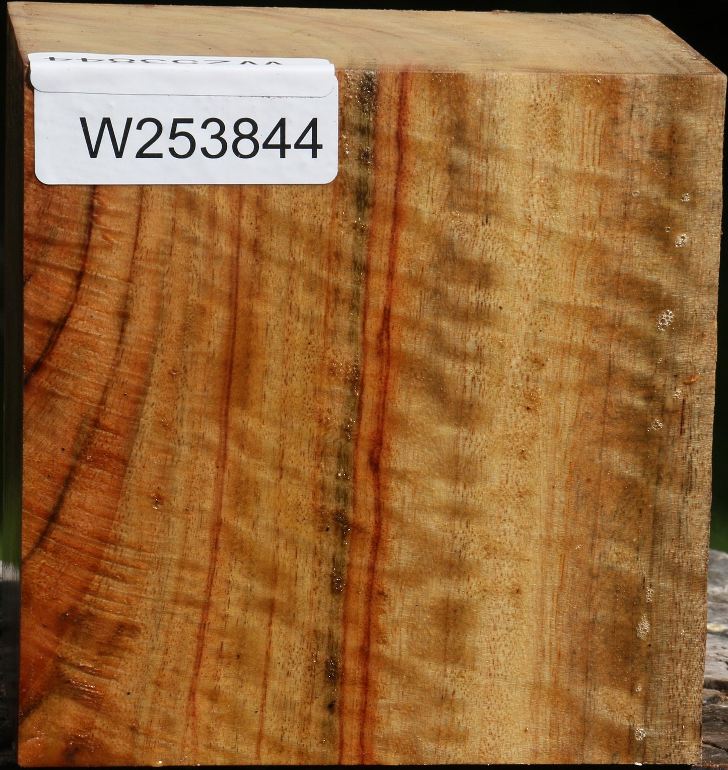 Extra Fancy Camphor Bowl Blank