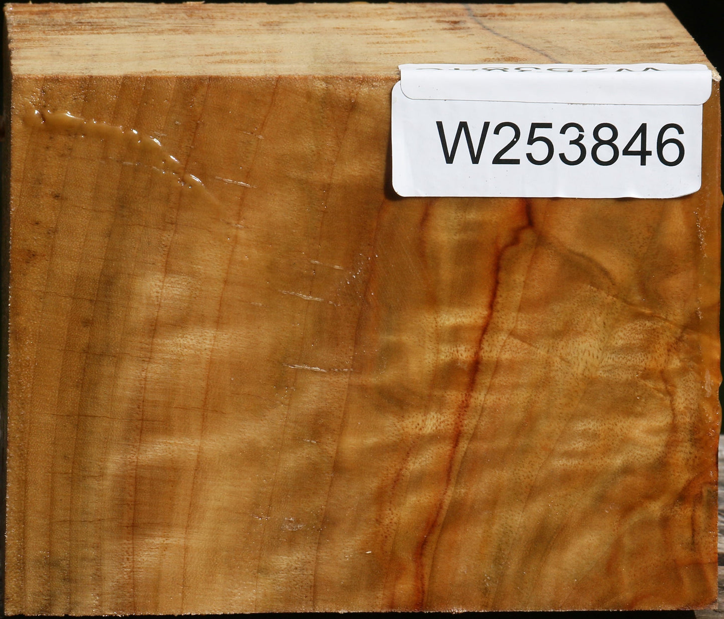 Extra Fancy Camphor Bowl Blank