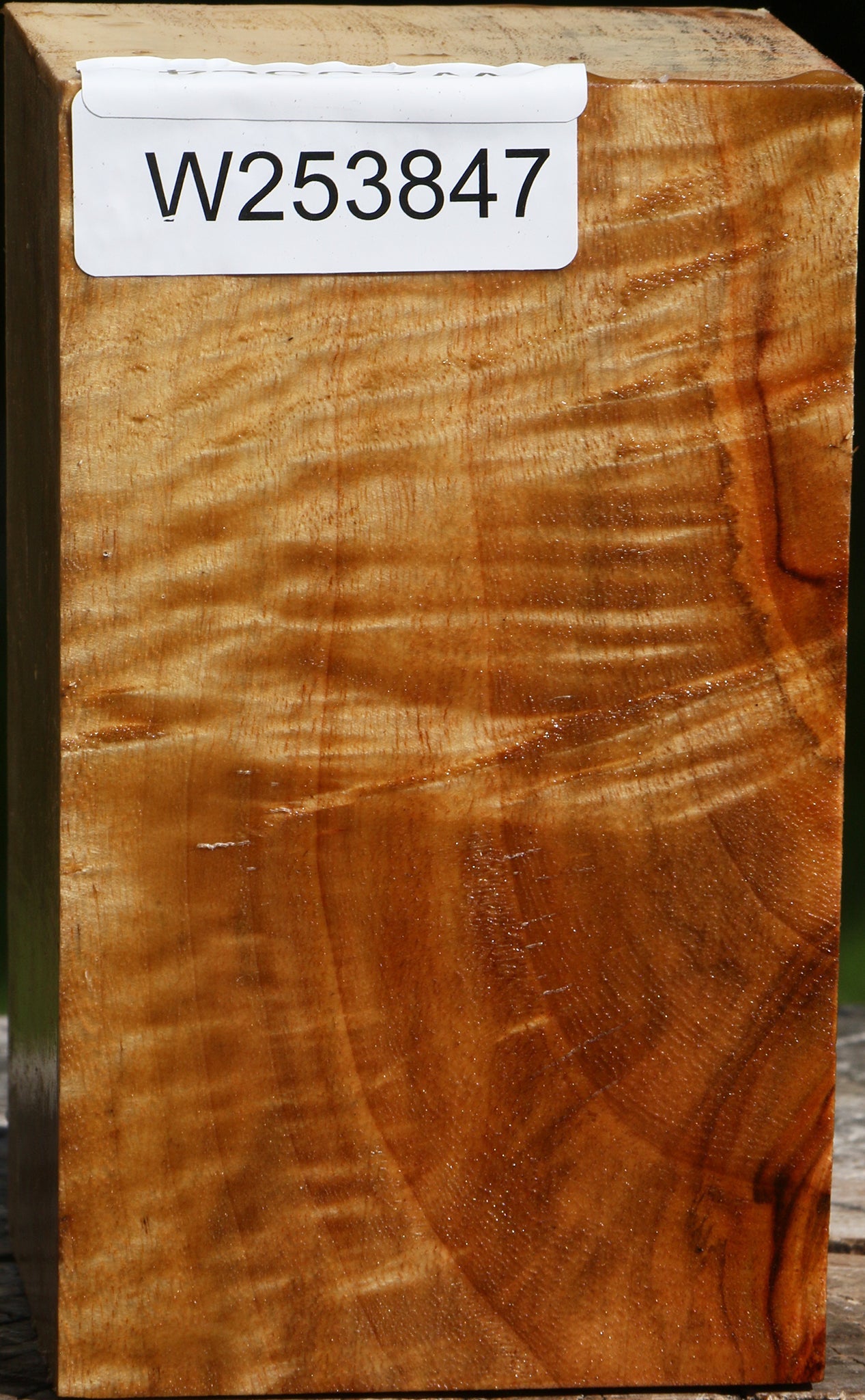 Extra Fancy Camphor Turning Square